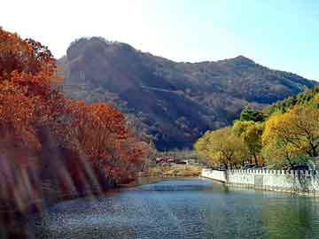 天天彩好彩天天免费，九台seo排名